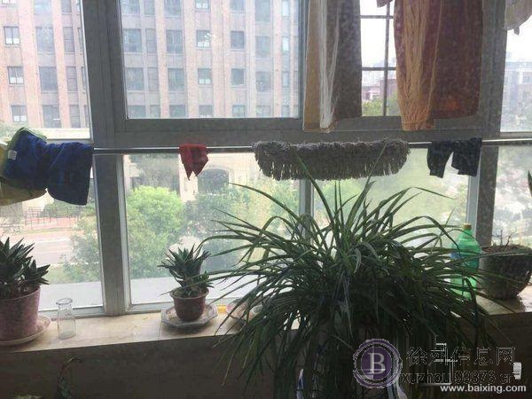 A1出新房了,小三室,一室一厅朝阳两室朝北,全新装